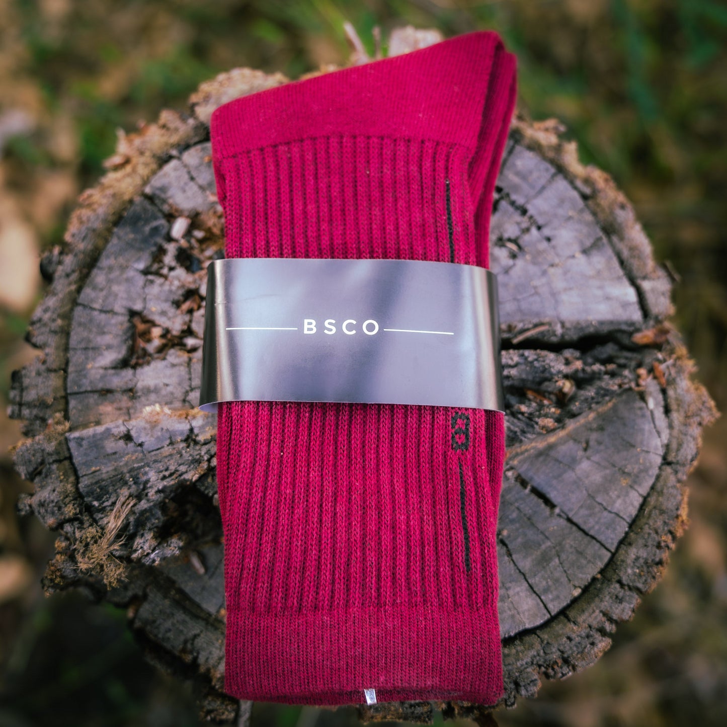 SOCK IT TO ME 6 PAIR BUNDLE